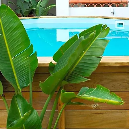Hostel La Palma Leiria