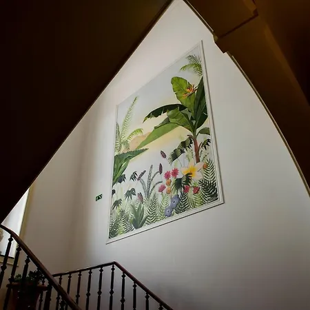 La Palma Hostel *