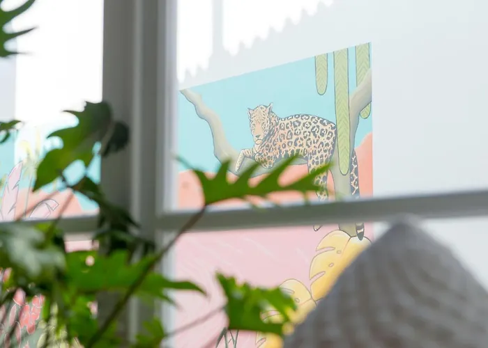 La Palma אכסניה לייריה