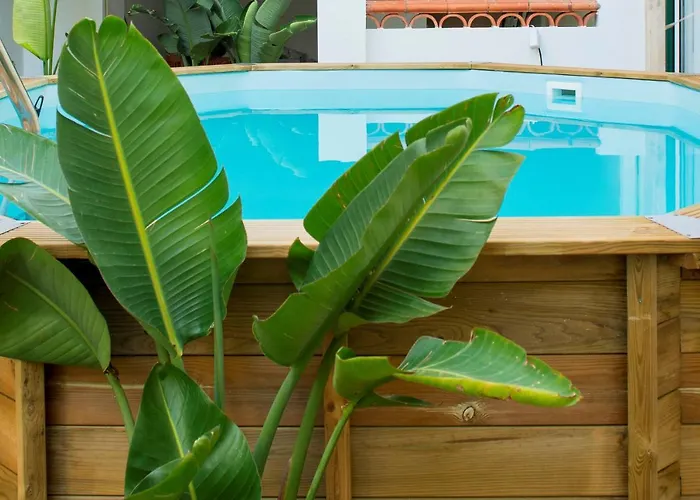 La Palma אכסניה לייריה